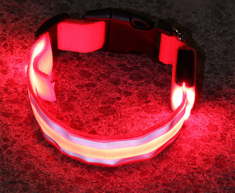 Red LED dog collar glowing in the dark