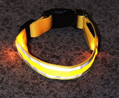 Yellow LED dog collar glowing in the dark