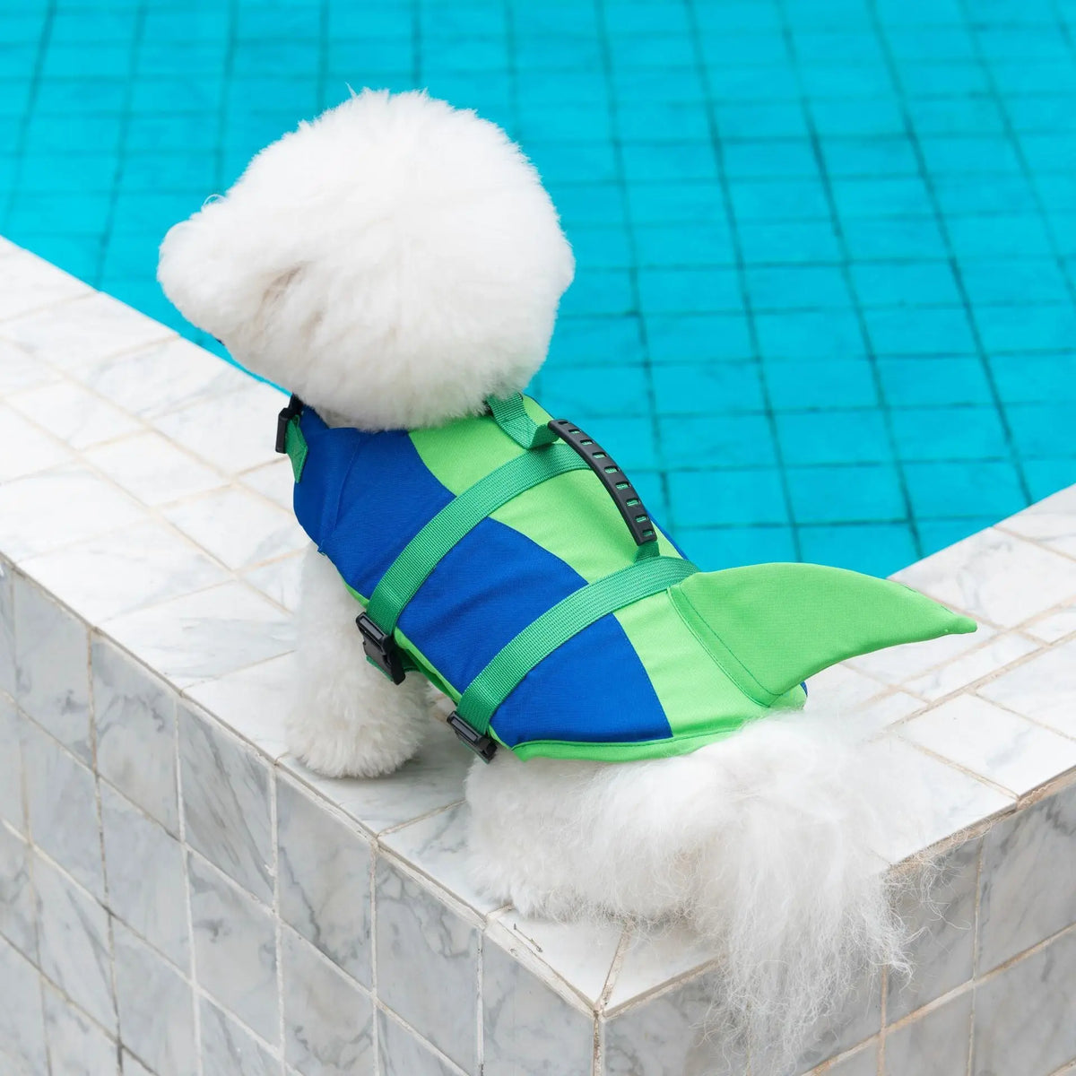 Dog Life Jacket: Buoyancy Vest for Swimming & Boating, XS to 2XL Wagbase