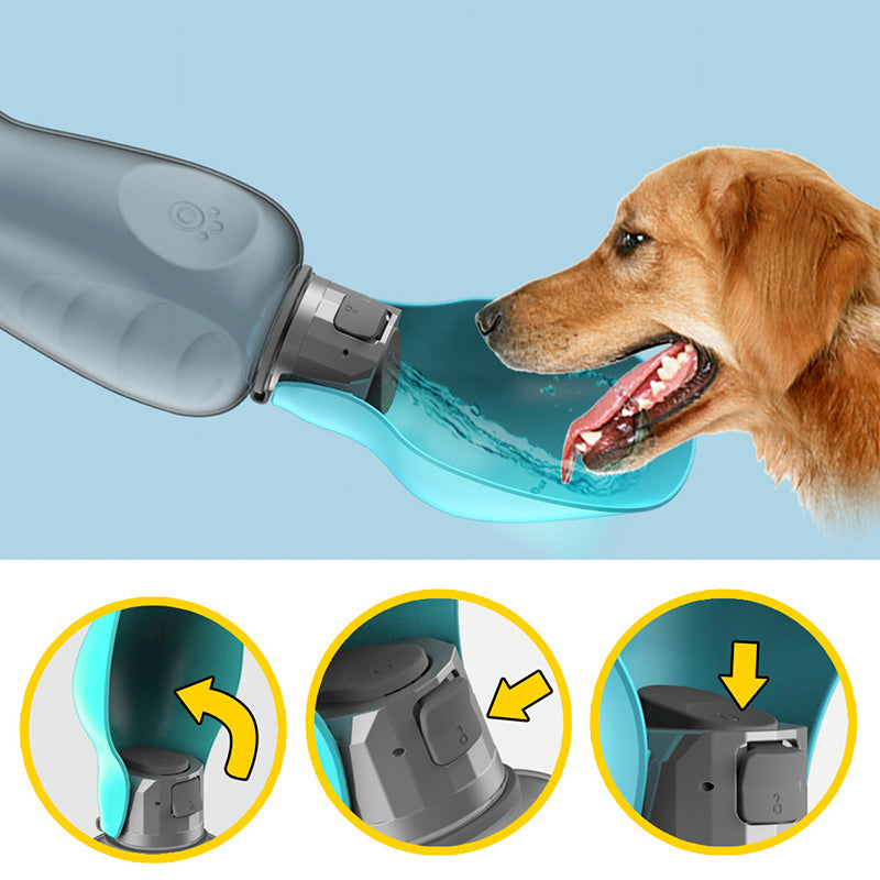 Dog drinking from a portable dog water bottle with close-up button details