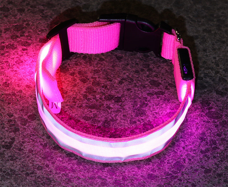 Pink LED dog collar glowing in the dark