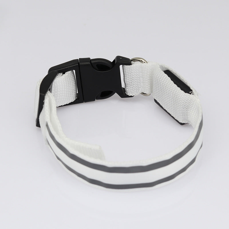 White LED dog collar, unlit, on a white background