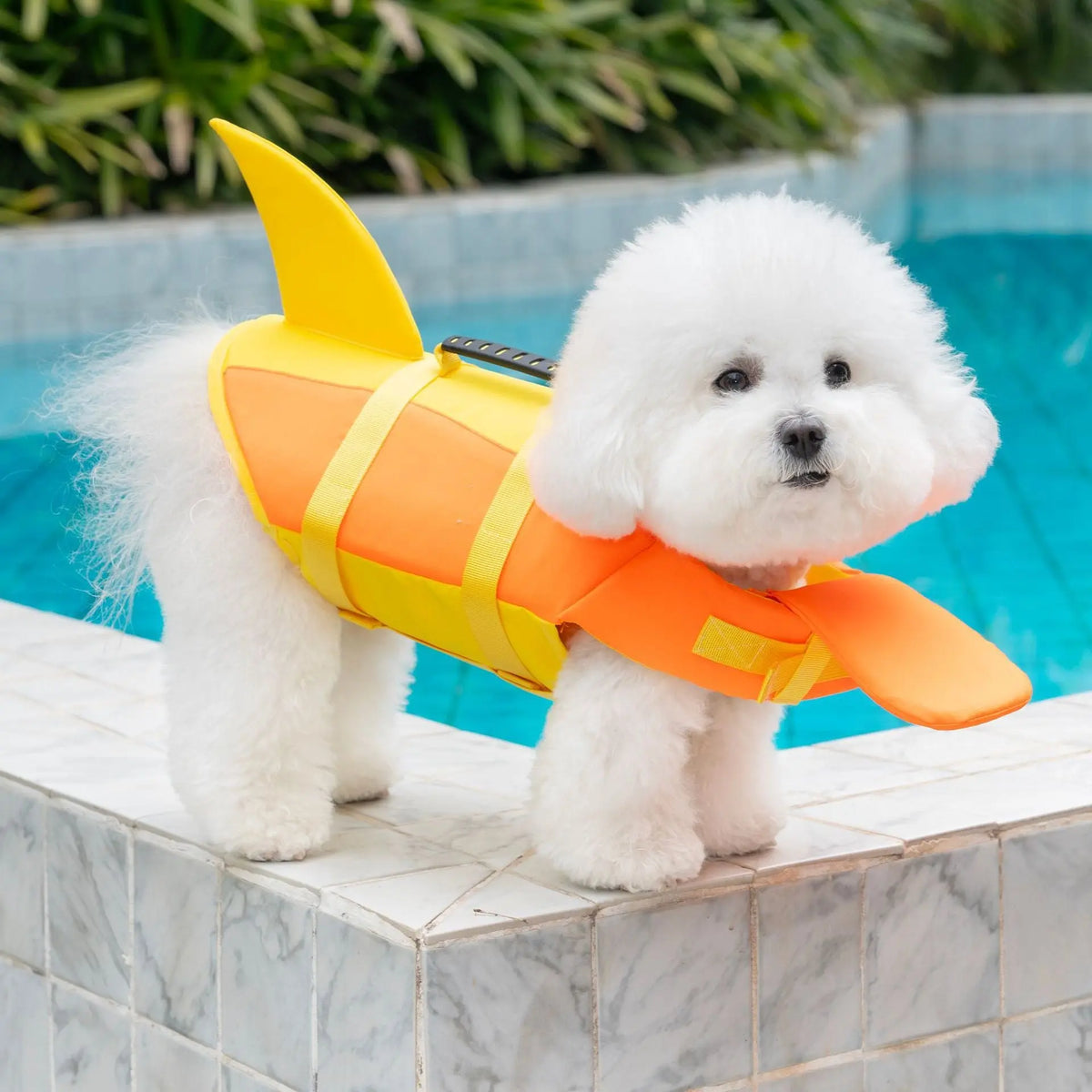 Dog Life Jacket: Buoyancy Vest for Swimming & Boating, XS to 2XL Wagbase