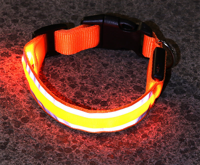 Orange LED dog collar glowing in the dark