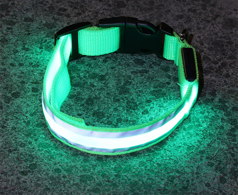Green LED dog collar glowing in the dark