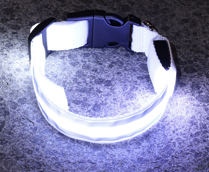 White LED dog collar glowing in the dark