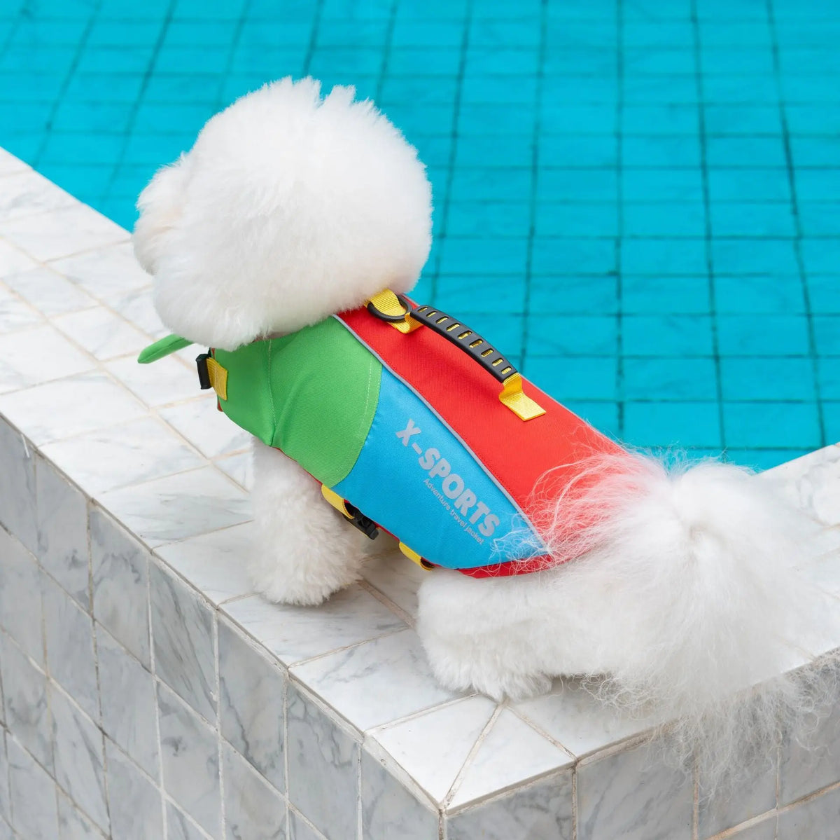 Dog Life Jacket: Buoyancy Vest for Swimming & Boating, XS to 2XL Wagbase