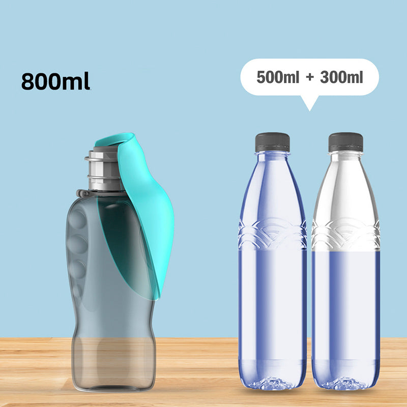 Portable dog water bottle 800ml capacity shown next to standard water bottles