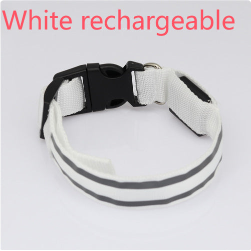 White rechargeable LED dog collar