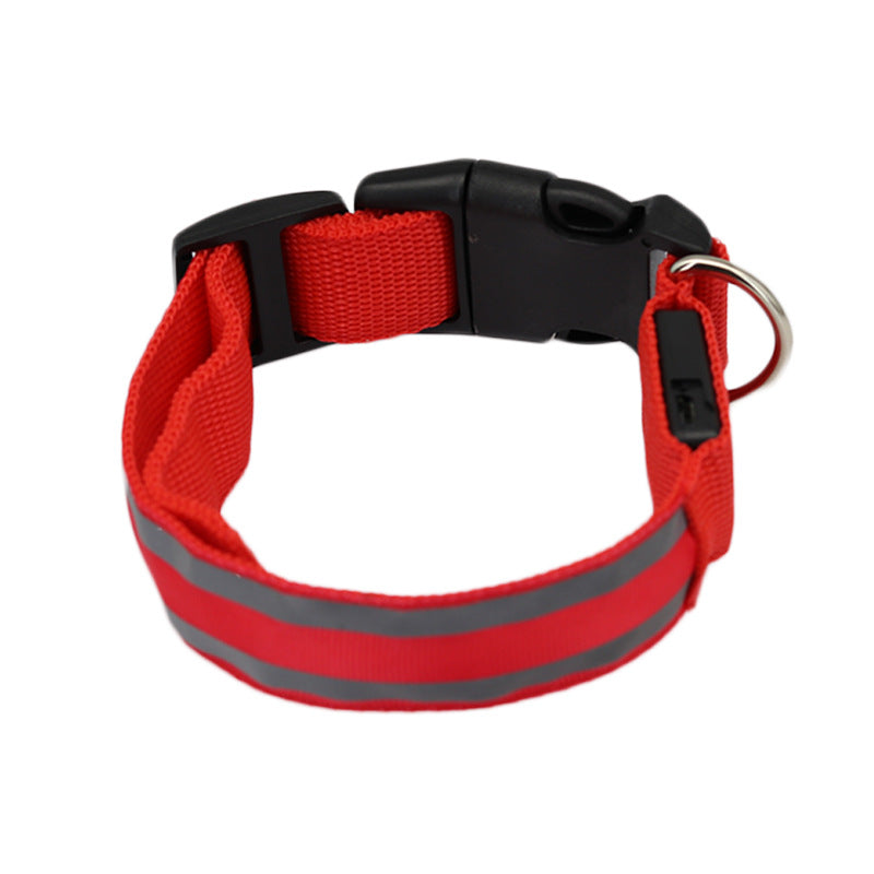 Red LED dog collar, unlit, on a white background