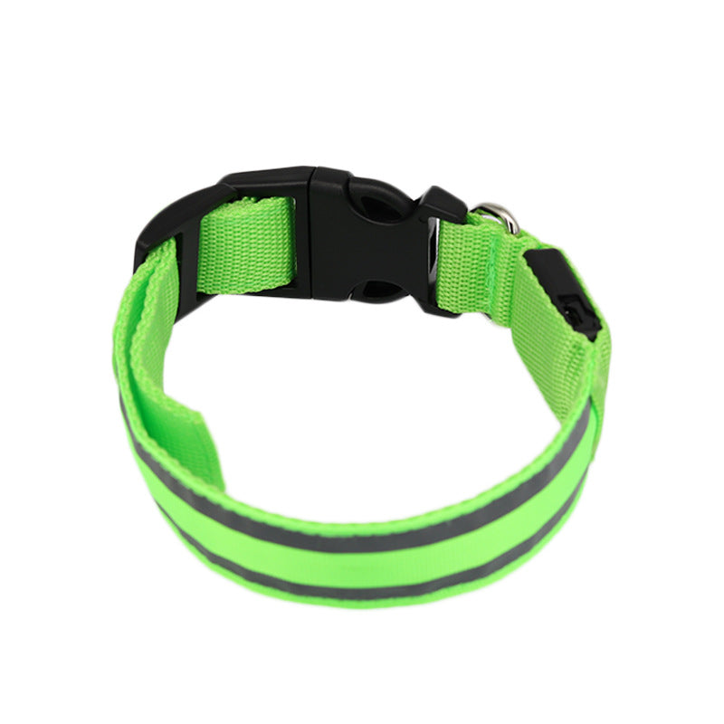 Green LED dog collar, unlit, on a white background