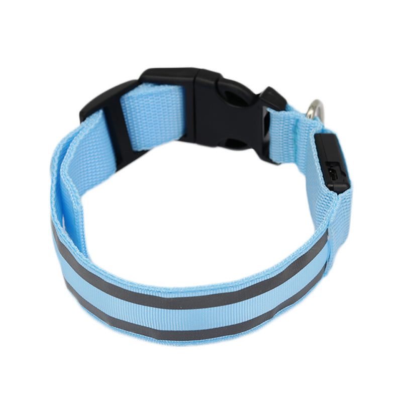 Light blue LED dog collar, unlit, on a white background