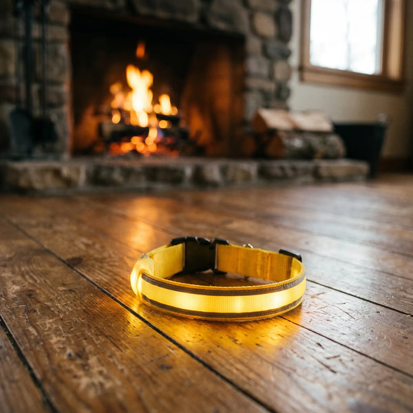 LED Light-Up Dog Collar: USB Rechargeable, Sizes XS to XL Wagbase