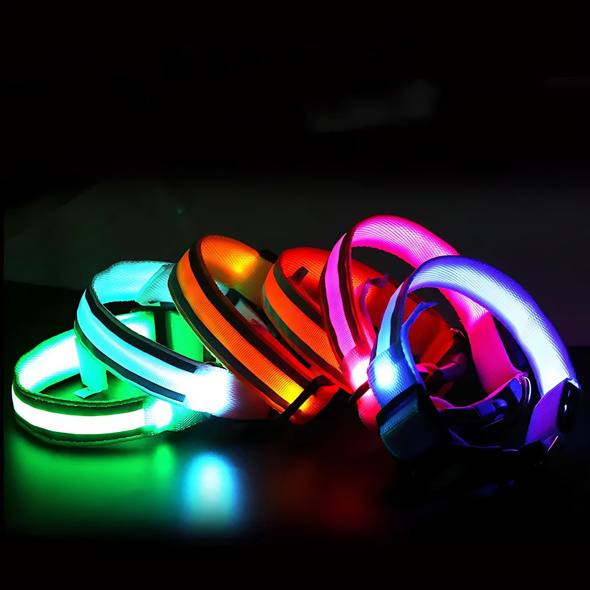LED Light-Up Dog Collar: USB Rechargeable, Sizes XS to XL Wagbase