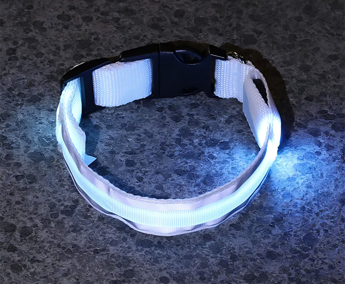 LED Light-Up Dog Collar: USB Rechargeable, Sizes XS to XL Wagbase
