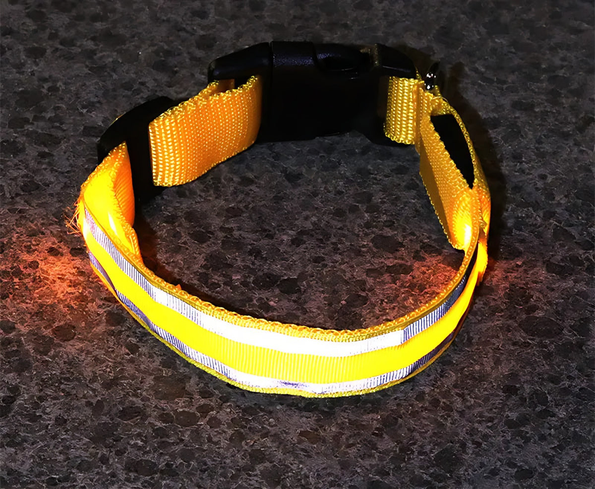 LED Light-Up Dog Collar: USB Rechargeable, Sizes XS to XL Wagbase