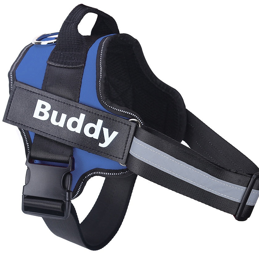 Wagbase no-pull dog harness in blue with personalized name patch example