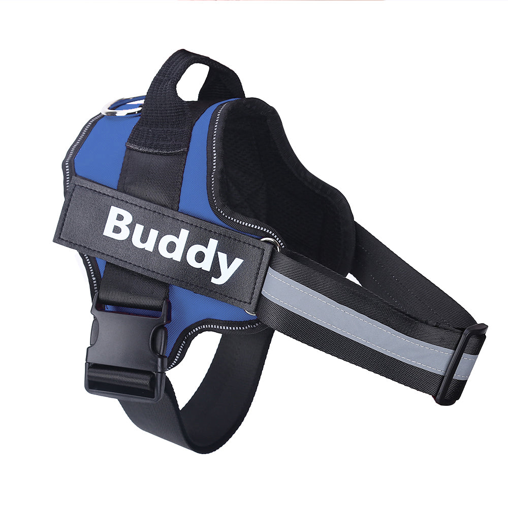 Wagbase no-pull dog harness in blue