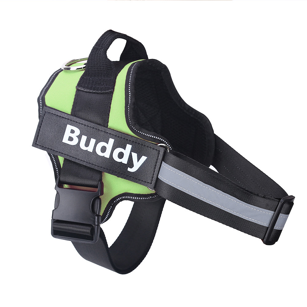 Wagbase no-pull dog harness in bright green