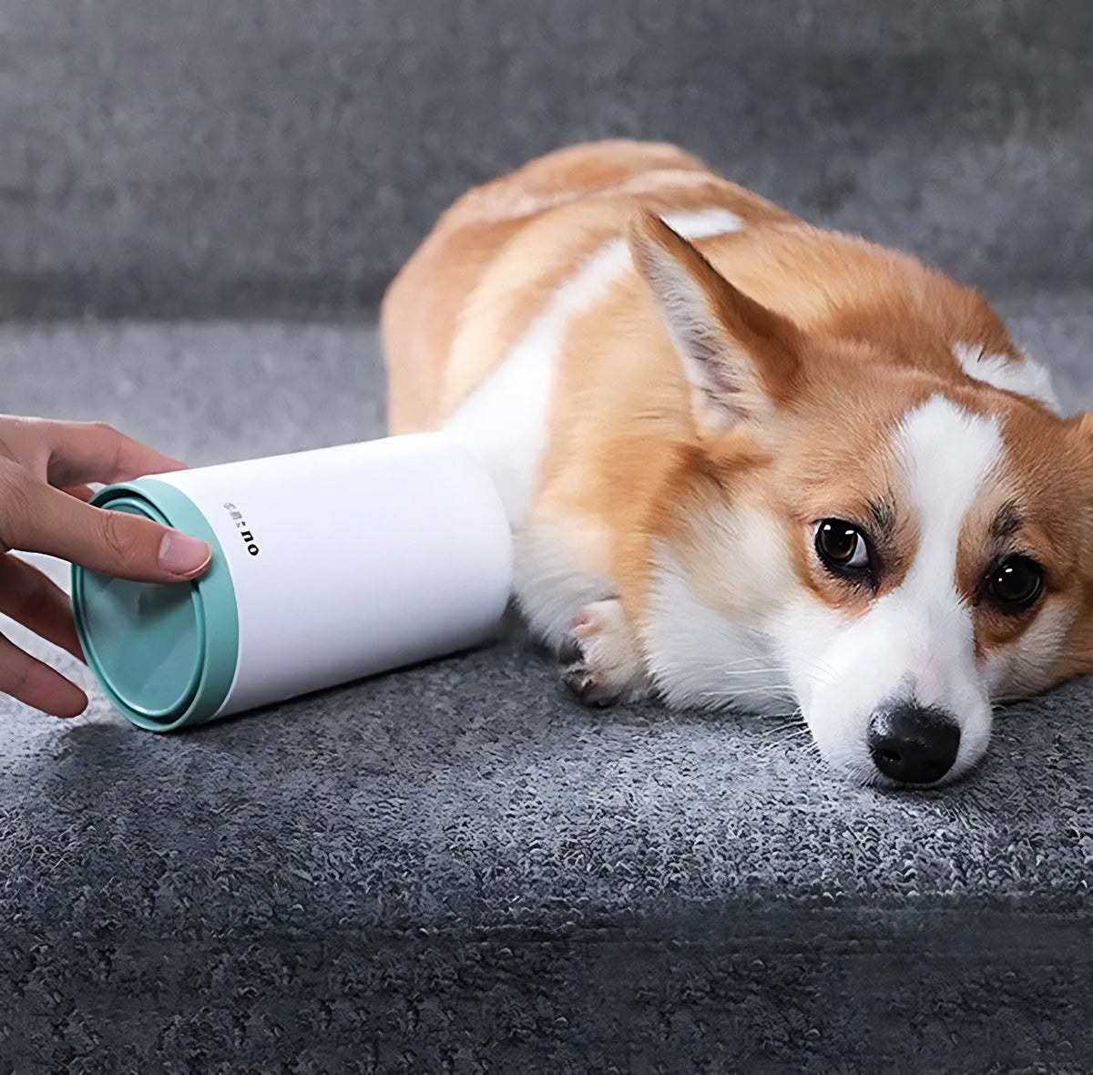 Dog Paw Cleaner Cup: Muddy Paw Washer with Soft Silicone Bristles Wagbase