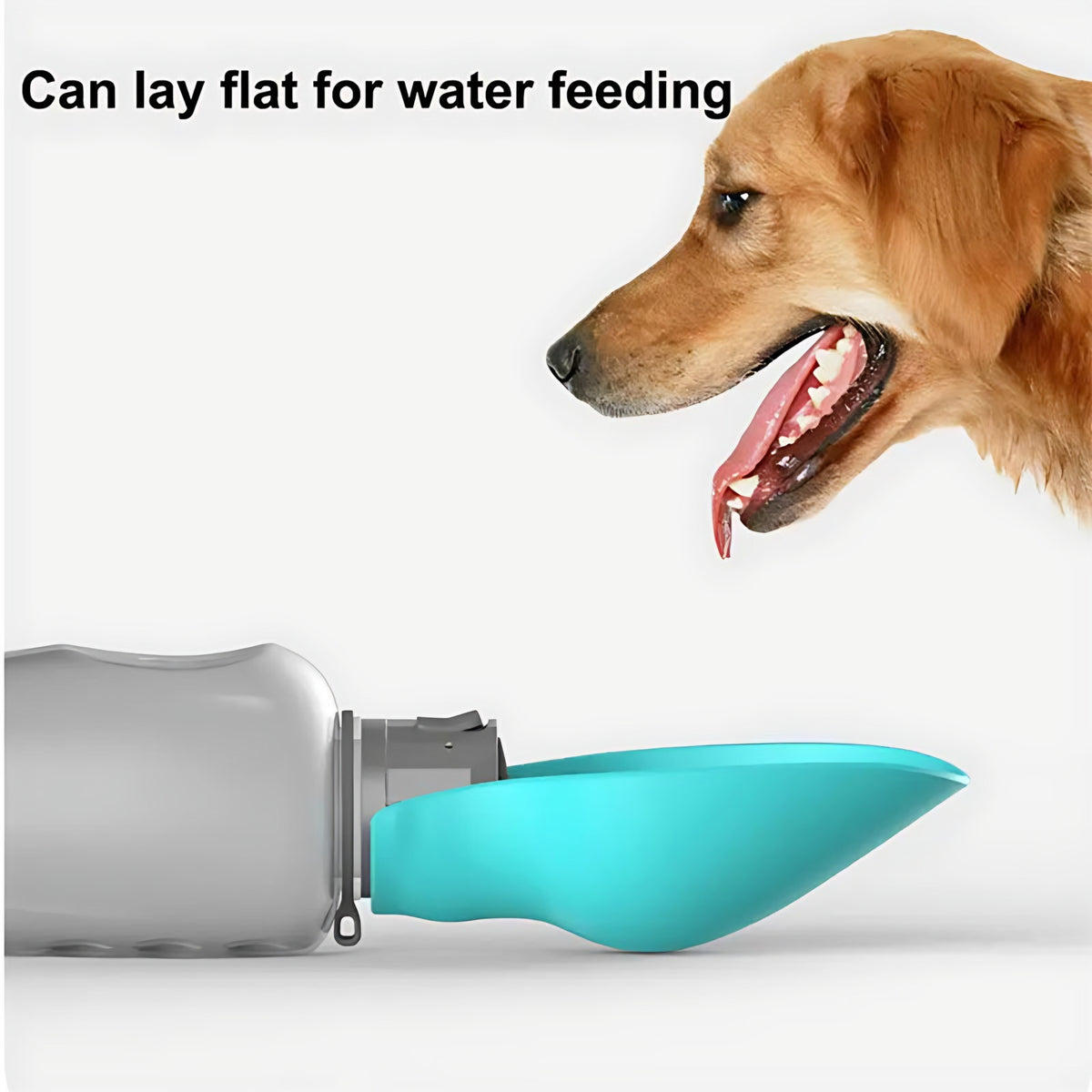 Portable Dog Water Bottle: 800ml Leakproof Bottle and Bowl in One Wagbase