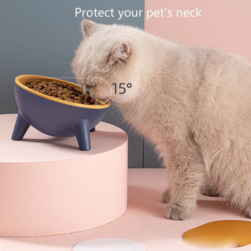 Non-slip stand on the Wagbase raised feeding bowl set