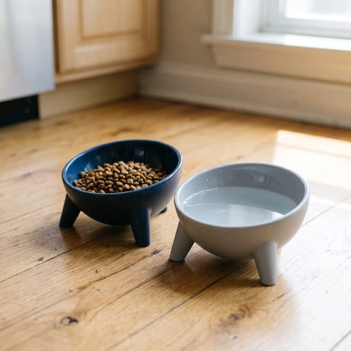Elevated Dog & Cat Feeding Bowl Set: Raised Stand for Healthier Mealtimes Wagbase