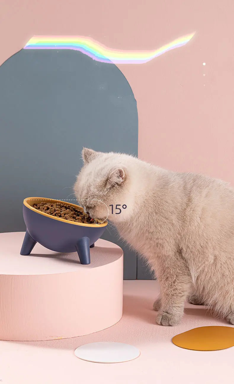 Elevated Dog & Cat Feeding Bowl Set: Raised Stand for Healthier Mealtimes Wagbase