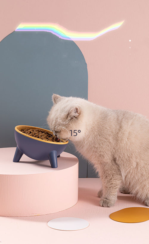 Wagbase raised feeding bowl set in moss green