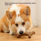 Close-up of the natural wood texture on the Wagbase chew bone